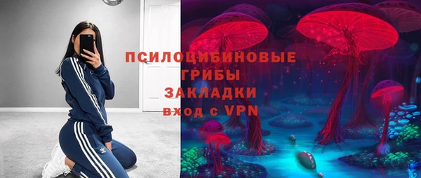 стафф Баксан