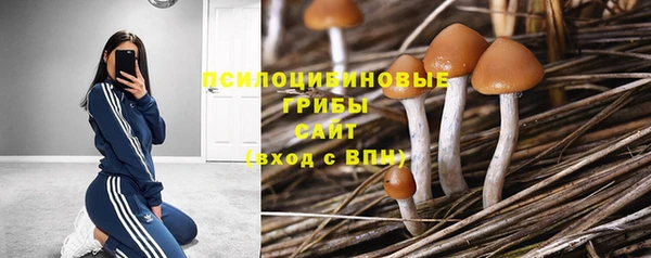 стафф Баксан