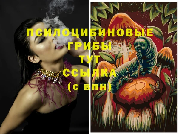 стафф Баксан