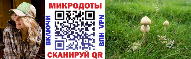 Псилоцибиновые грибы Magic Shrooms  Калуга 